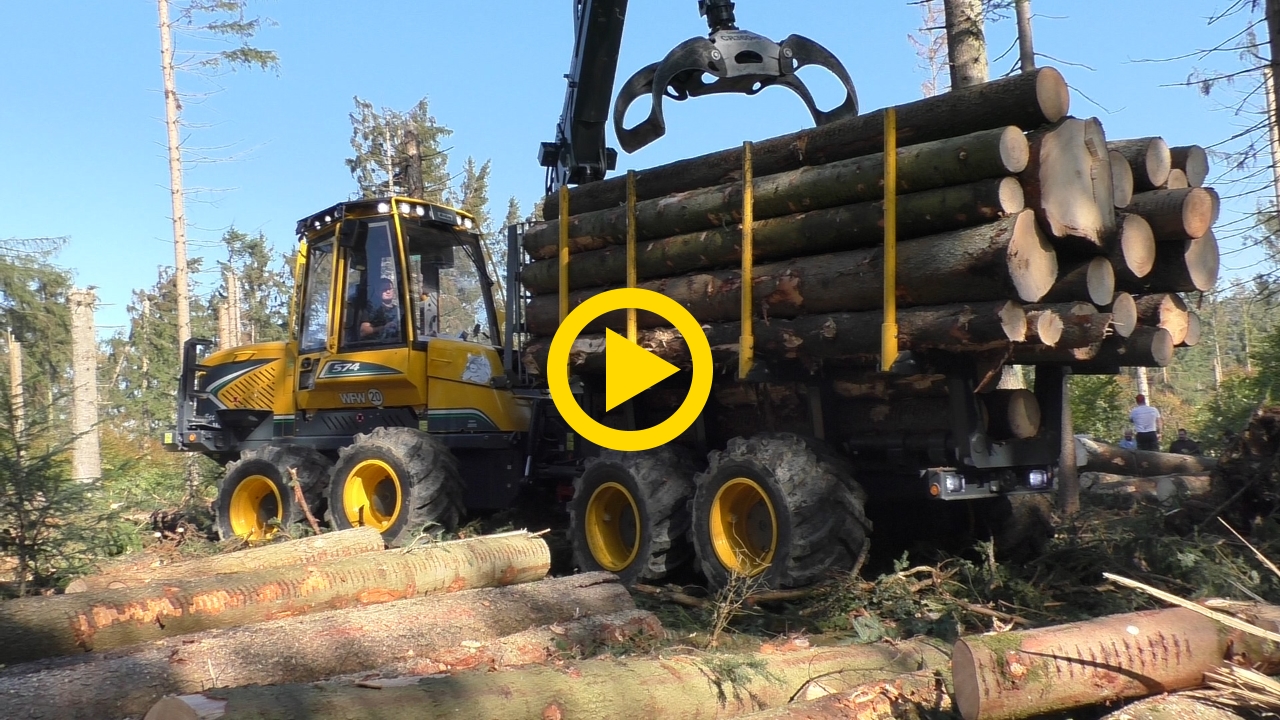 Eco Log 574E | Windbreak Germany – Harvester Forwarder & More
