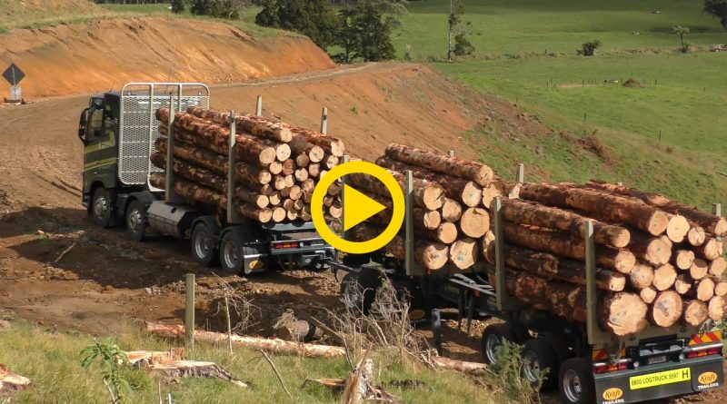 Amerikanische Holzerntesysteme Harvester Forwarder More